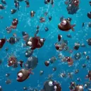 mmerse yourself in a vibrant virtual world where you can forge alliances, construct empires, and engage in thrilling battles alongside countless other players. As a citizen of this digital realm, youll gather resources, establish diplomatic ties, and lead your faction to dominance. With a bustling economy, intricate political systems, and a vast landscape to