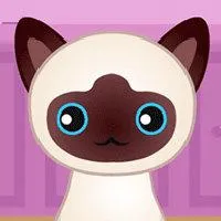 mbark on an extraordinary puzzle adventure where logic and creativity collide. In this captivating realm, youll unravel a series of intricate puzzles that will challenge your mind and ignite your imagination. Each level presents a unique tapestry of shapes, colors, and patterns, beckoning you to find hidden connections and devise ingenious solutions. As you 